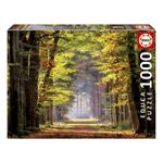 Puzzle Paseo Otoñal Educa (1000 pcs)