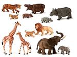 Miniland 50.25137 12 animali selvatici con personaggi per bambini, multicolore