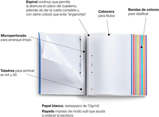 Miquel Rius 42006 – Quaderno A4, a quadretti da 5 mm, 200 fogli, 70 g, copertina in polipropilene, colore: nero - 3