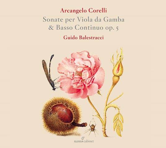 Sonate per Viola da Gamba & Basso Continuo Op.5 - CD Audio di Guido Balestracci