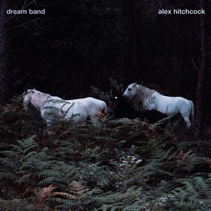 Dream Band - CD Audio di Alex Hitchcock