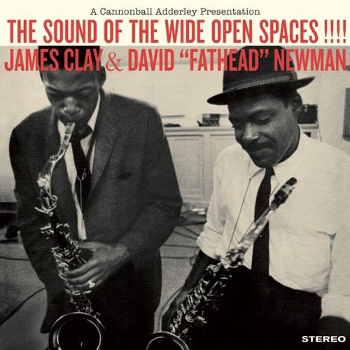 The Sound Of The Wide Open Spaces - Vinile LP di James Clay
