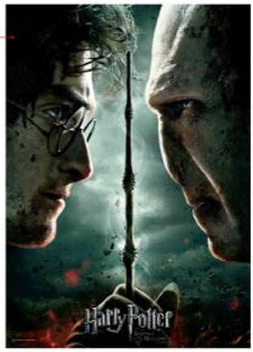 Harry Potter Harry Vs Voldemort Puzzle