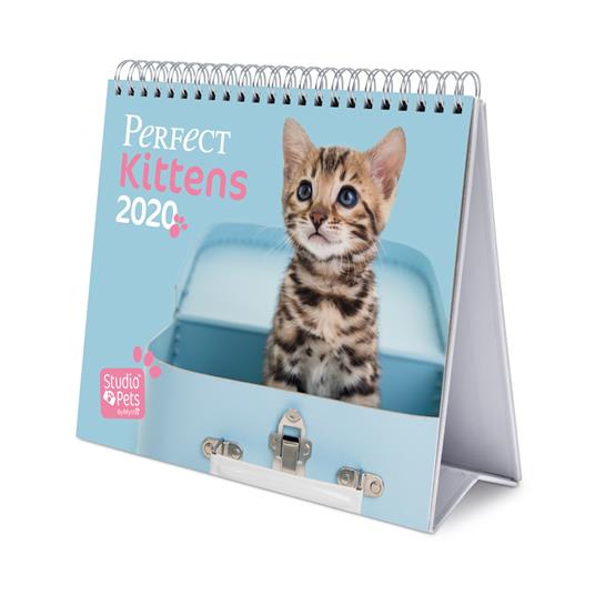 Calendario Deluxe 2020 Studio Pets Cats