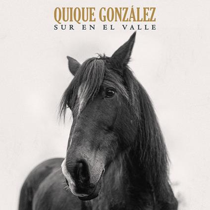 Sur En El Valle - Vinile LP di Quique Gonzalez