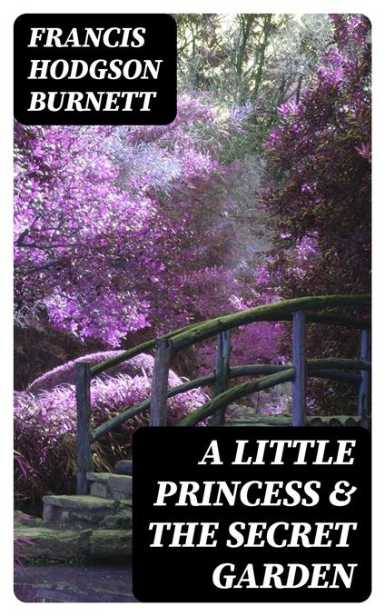 A Little Princess & The Secret Garden - Frances Eliza Hodgson Burnett - ebook