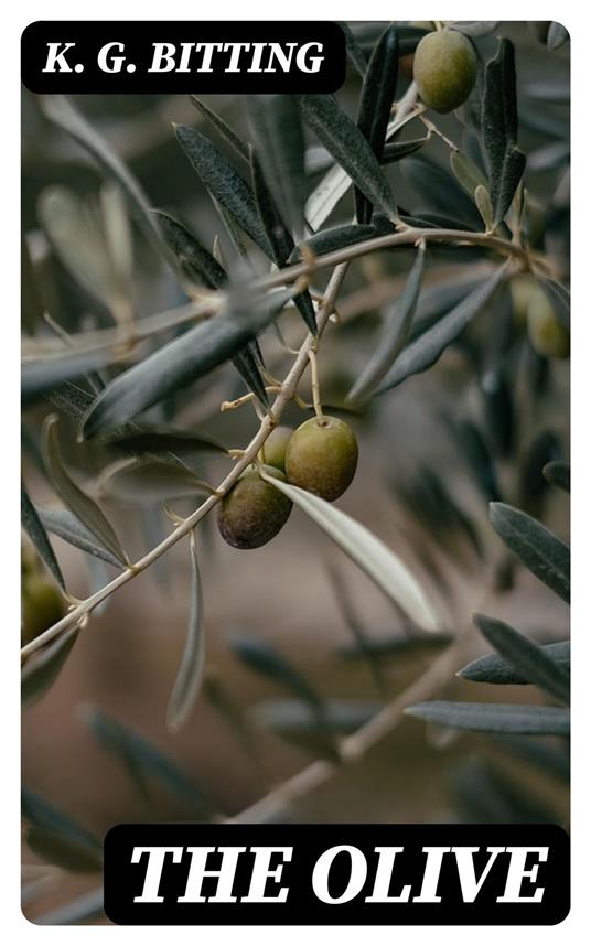 The Olive