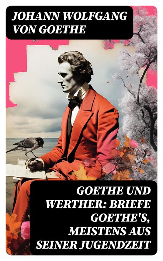 Goethe und Werther: Briefe Goethe's, meistens aus seiner Jugendzeit