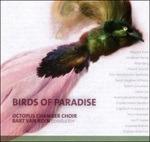 Birds of Paradise - CD Audio di Bart Van Reyn