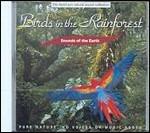 Birds in the Rainforest