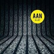 AAN (Coloured Vinyl Limited Edition) - Vinile LP di Blof