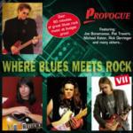 Where Blues Meets Rock - CD Audio