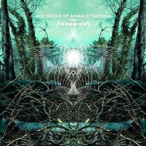 The Ocean and the Sun - CD Audio di Sound of Animals Fighting