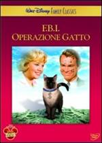 FBI operazione Gatto