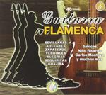 Guitarra Flamenca