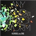 Any Kind of Storm - CD Audio di Horses on Fire