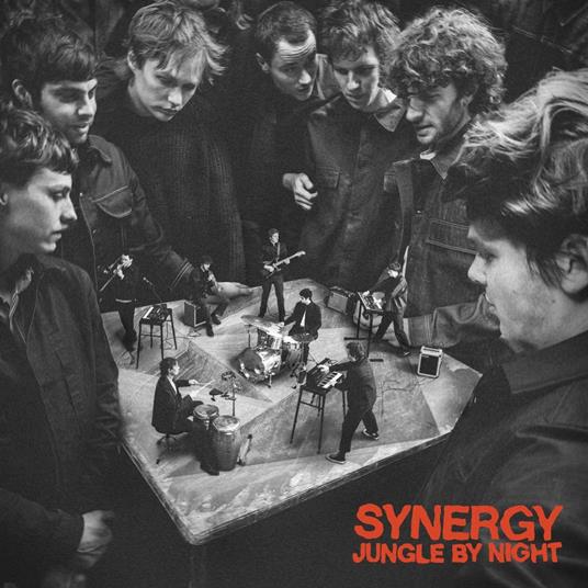 Synergy - CD Audio di Jungle by Night