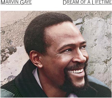 Dream Of A Lifetime - CD Audio di Marvin Gaye