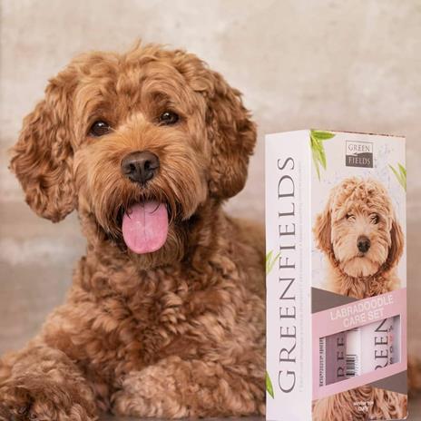 Greenfields Set Shampoo e Spray per Cani Labradoodle 2x250 ml