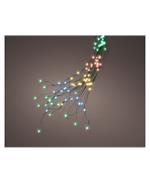 Lumineo Filo Bunch 672led Steady 210cm Luce Multicolor Uso Esterno