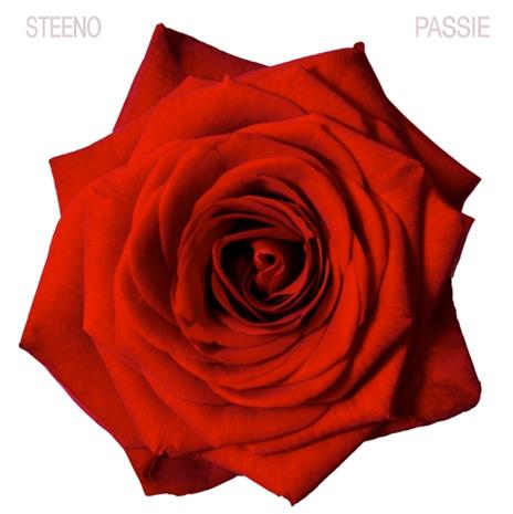 Passie - CD Audio di Luc Steeno