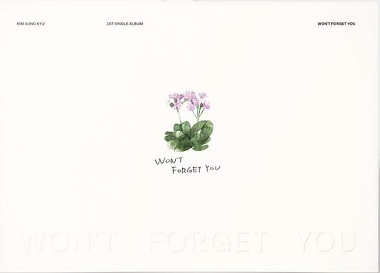 Won't Forget You - CD Audio di Sung Kyu Kim