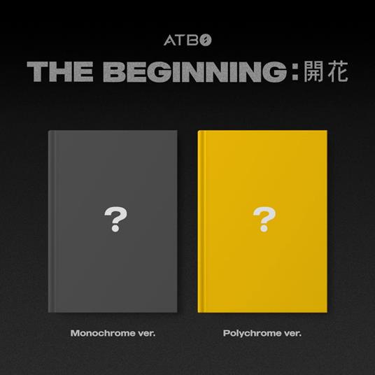 Beginning . Blooming - CD Audio di Atbo