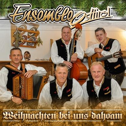 Weihnachten Bei Uns Dahoam - CD Audio di Ensemble Osttirol