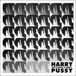 Let’s Build a Pussy - Vinile LP di Harry Pussy