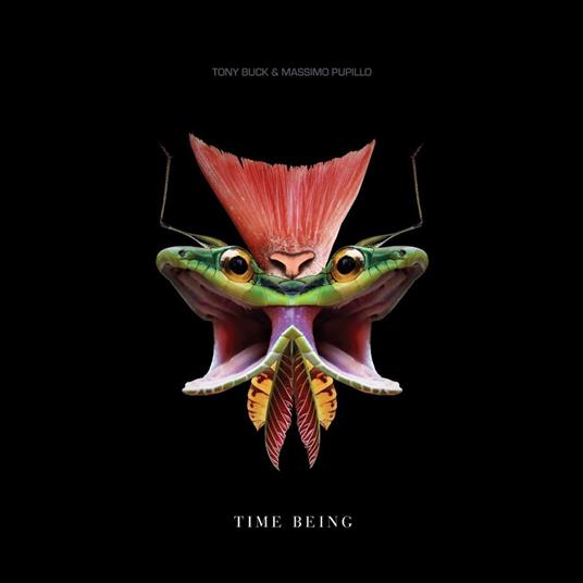 Time Being - Vinile LP di Massimo Pupillo,Tony Buck