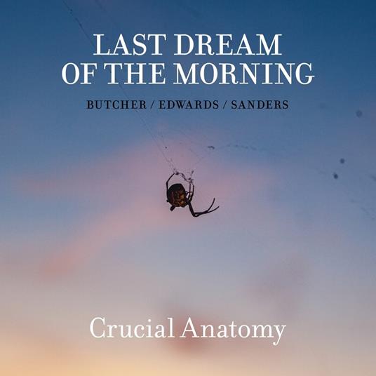 Last Dream of the Morning - CD Audio di Mark Sanders,John Edwards,John Butcher