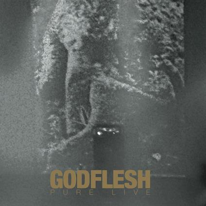 Pure. Live - CD Audio di Godflesh