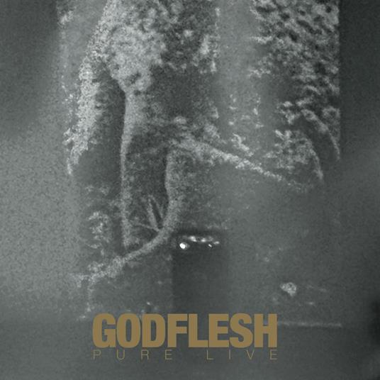 Pure. Live - CD Audio di Godflesh