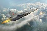 Russian Mig-31 Foxhound Fighter 1:72 Plastic Model Kit Riptr 01679