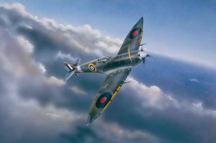 Supermarine Spitfire Mk. Vi Aircraft 1:24 Plastic Model Kit RIPTR 02413