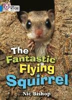 The Fantastic Flying Squirrel: Band 04/Blue - Nic Bishop - cover