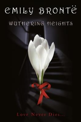 Wuthering Heights - Emily Bronte - cover