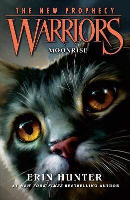 MOONRISE - Erin Hunter - cover