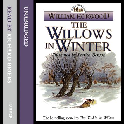 The Willows In Winter