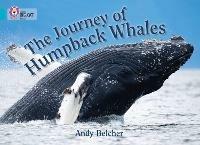 The Journey of Humpback Whales: Band 07/Turquoise - Andy Belcher - cover