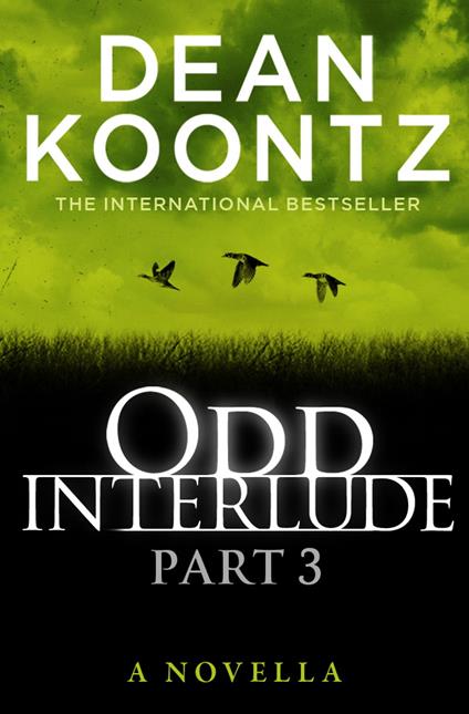 Odd Interlude Part Three