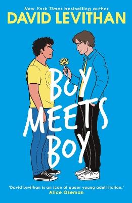 Boy Meets Boy - David Levithan - cover