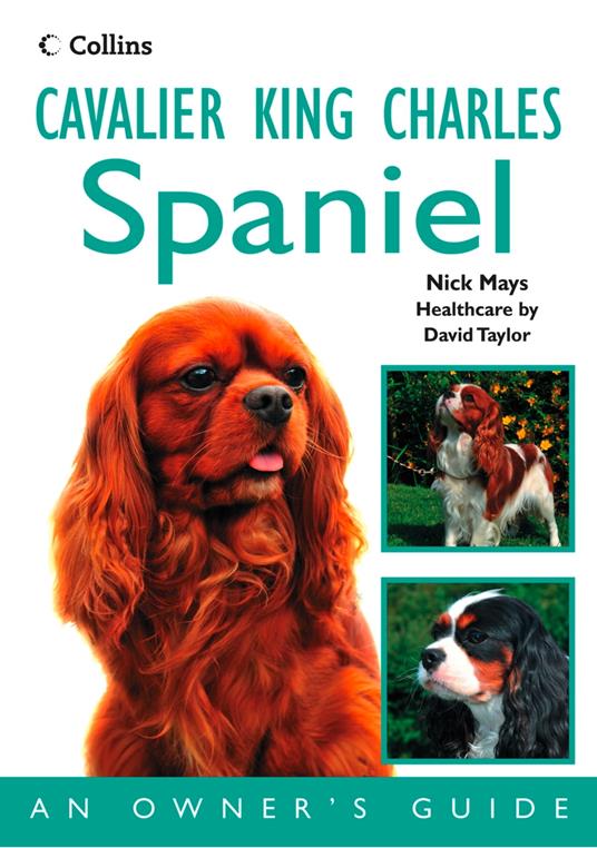 Cavalier King Charles Spaniel: An Owner’s Guide