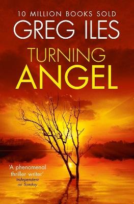 Turning Angel - Greg Iles - cover