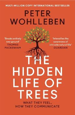 The Hidden Life of Trees: What They Feel, How They Communicate - Peter Wohlleben - cover