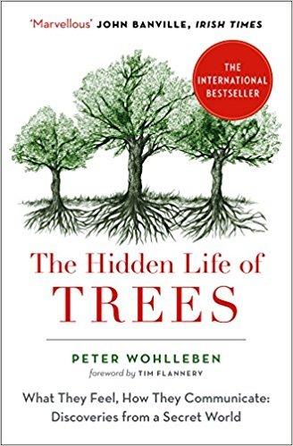 The Hidden Life of Trees: What They Feel, How They Communicate - Peter Wohlleben - 2