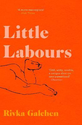 Little Labours - Rivka Galchen - cover