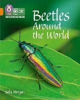 Beetles Around the World: Band 06/Orange - Sally Morgan - cover