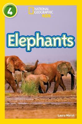 Elephants: Level 4 - Laura Marsh,National Geographic Kids - cover