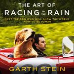 The Art of Racing in the Rain